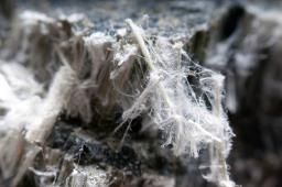 Mesothelioma