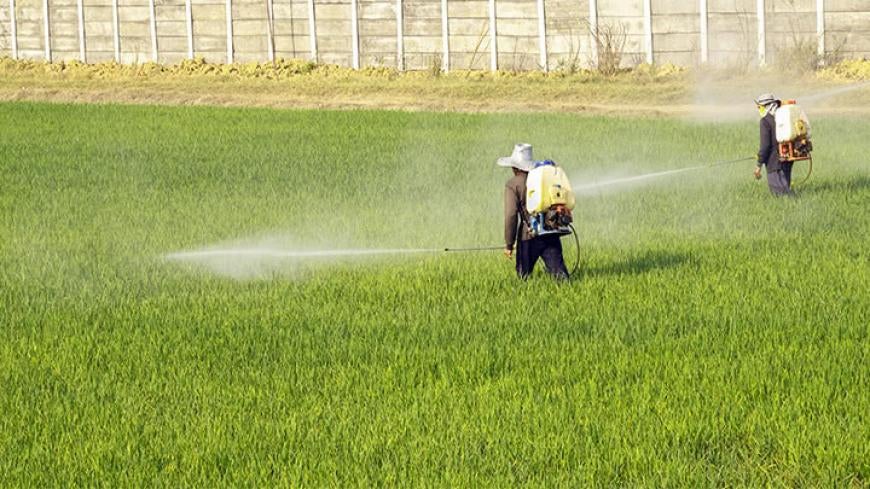 farmers spraying monsanto chemicals on field of crops