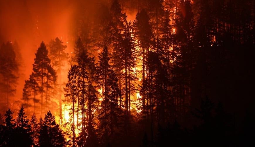 Northern California Wildfire Lawsuits