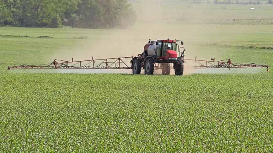 farmer's crops killed by dicamba product