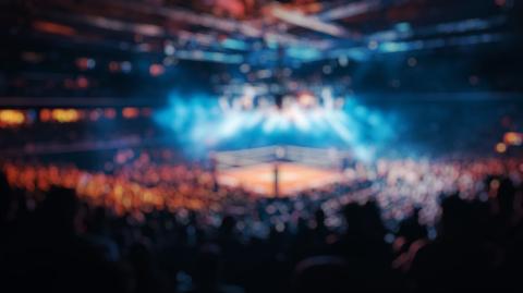 10 Things You Should Know About Wrestling and Concussions