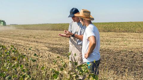 Dicamba Complaints in Arkansas Approach 1,000 Mark
